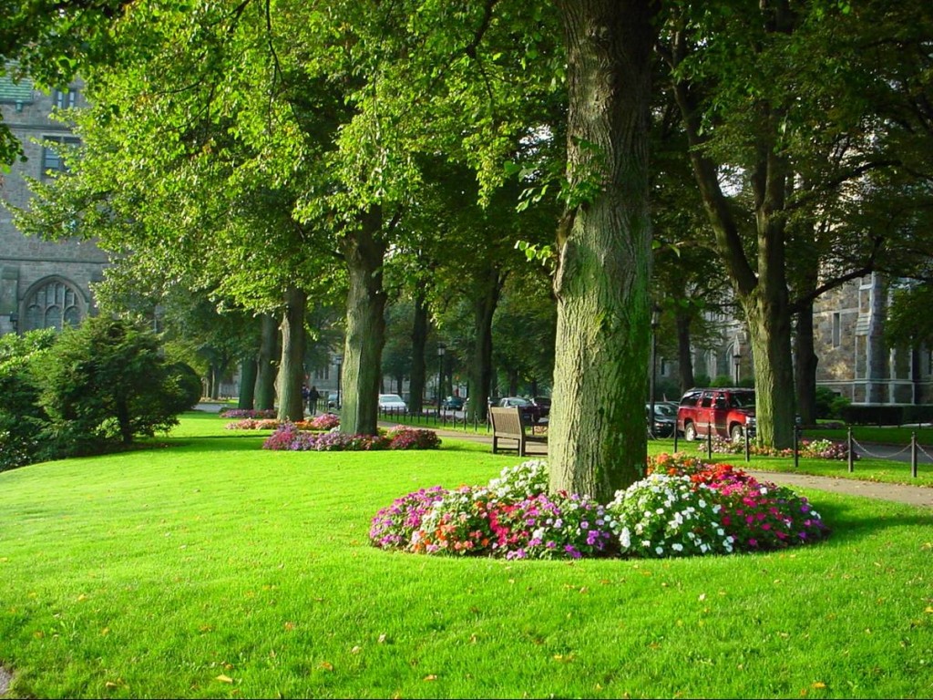 Service Coverage Map